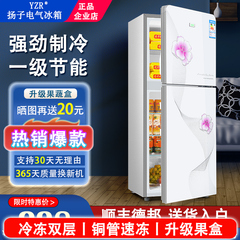 扬子电气小冰箱家用小型冷冻冷藏迷你宿舍出租房二人一级能效节能