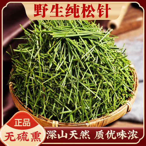 松针茶的功效中药材正品250g泡水喝长白山野生天然松针干马尾松针