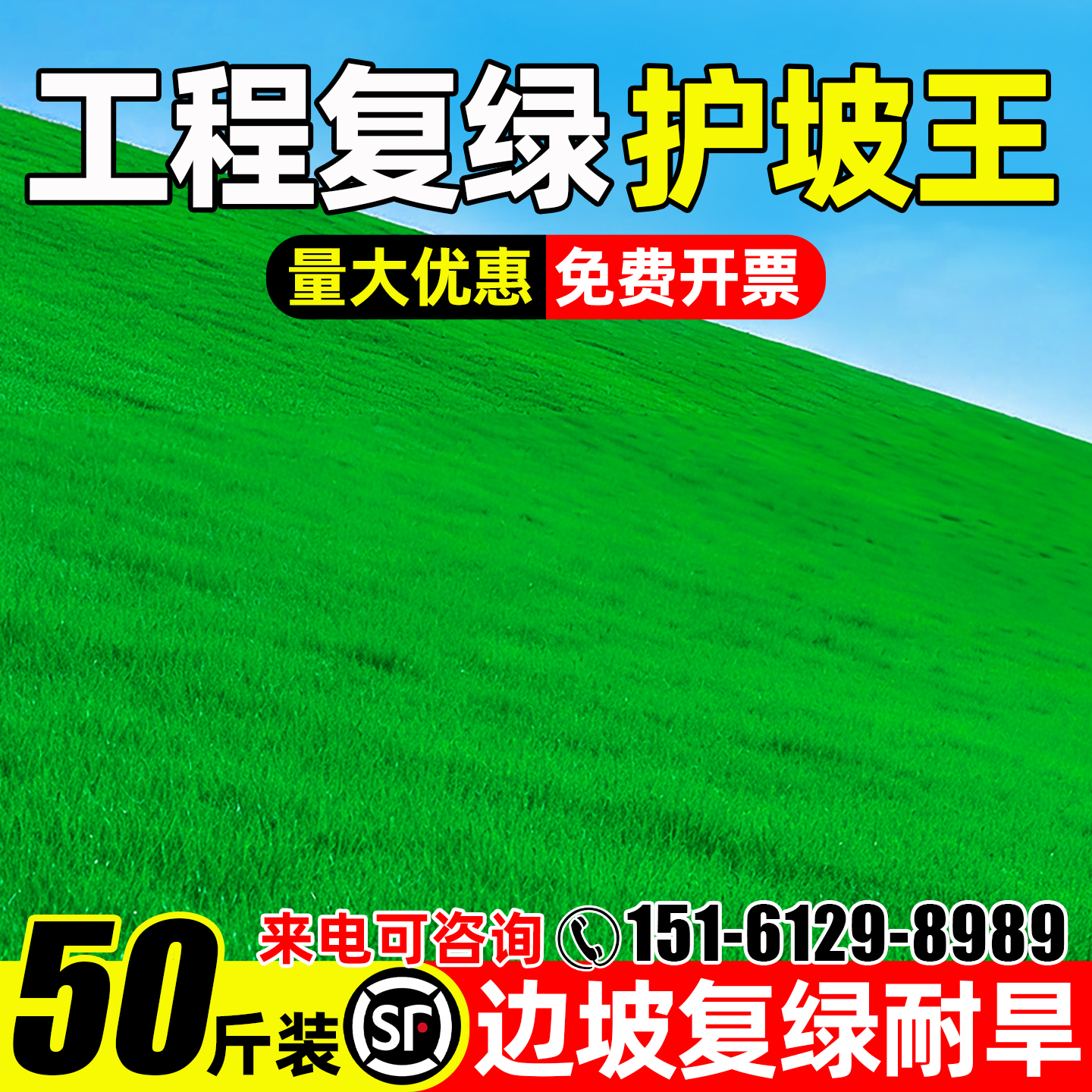 草坪草籽四季常青护坡固土草种子