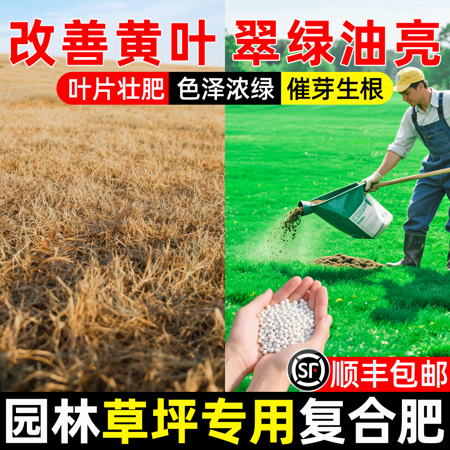 草坪草籽专用复合肥园林绿化绿植盆栽营养颗粒通用型氮磷钾化肥料