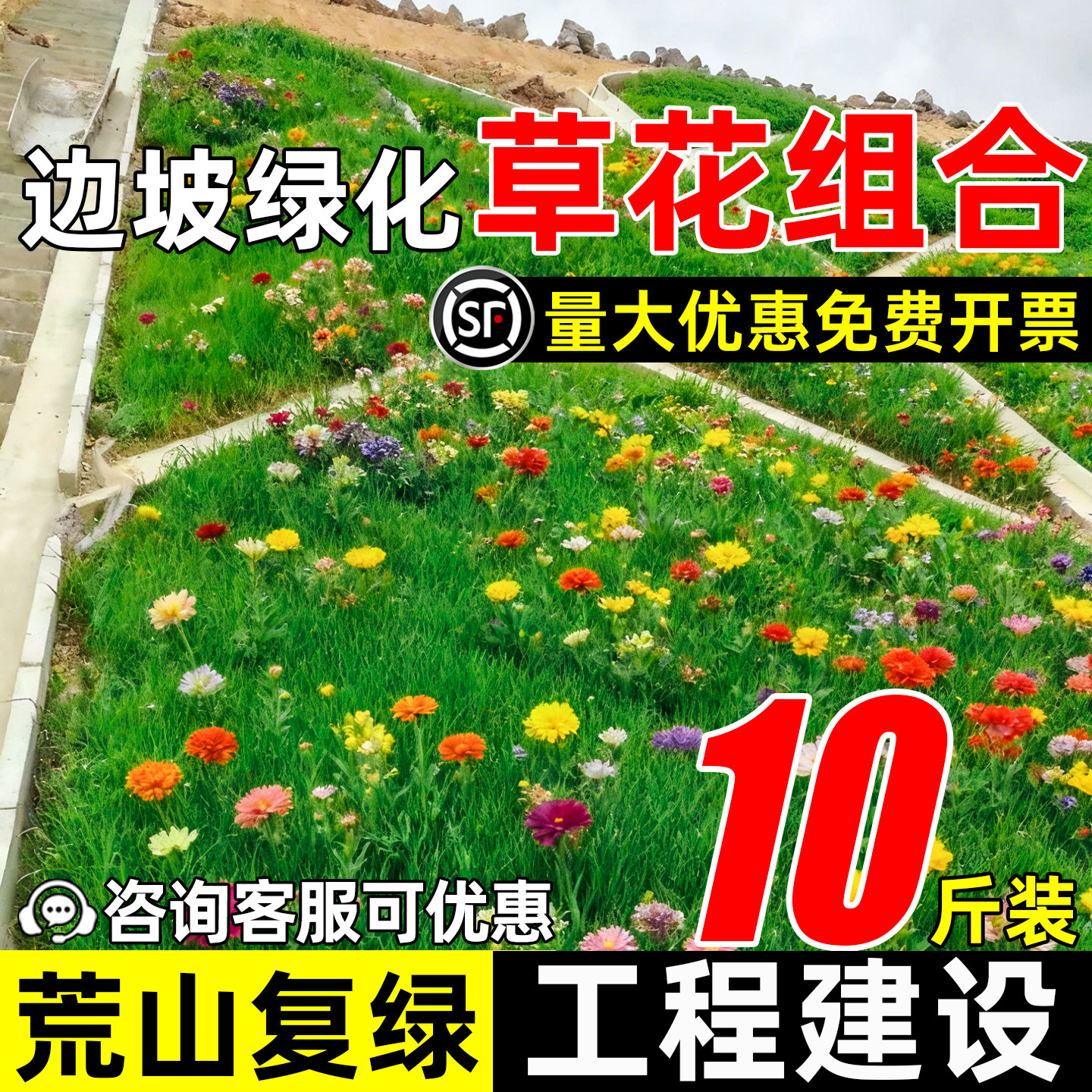 护坡草花组合草种子护坡固土绿化