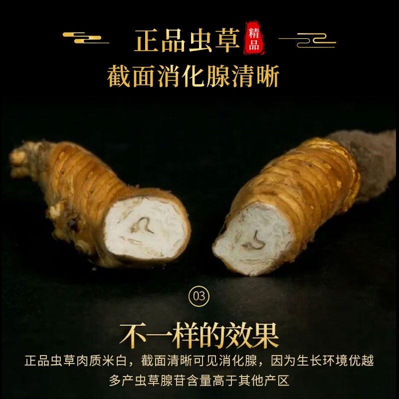 【特价】野生西草头期正品甘孜藏非族虫草礼盒断草CYE藏虫那曲青
