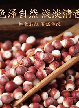 和堂JPZ芡实品新鲜正广东干货大芡实中草公药材芡实鸡头米果颗粒