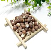 野生子戈尔贡种免鸡头饭新鲜红皮戈贡饭KRJ250g费一尔半