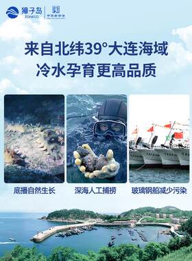 畅獐子岛大特产QXS干深海底播辽连刺参淡干海参享1货00g门店同款