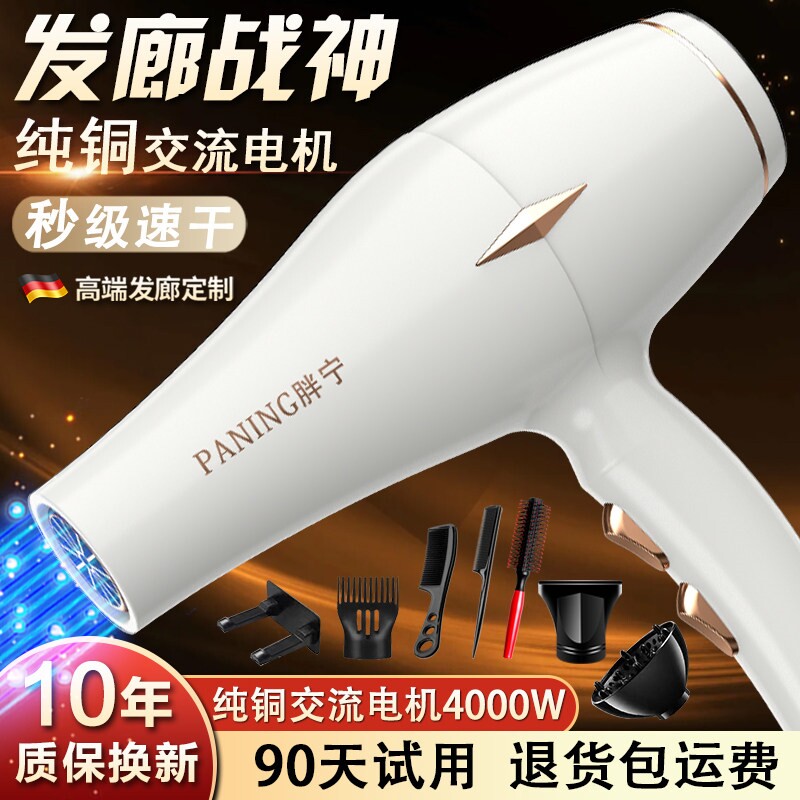 德国电吹风机家用大功率发廊理发发速干风筒店专用4000W负离子护