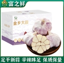 金乡干蒜紫白皮大蒜头网兜特大果批发红字多瓣蒜子新鲜 富之鲜