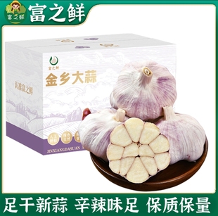【富之鲜】金乡干蒜紫白皮大蒜头网兜特大果批发红字多瓣蒜子新鲜