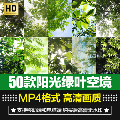 阳光绿叶自然小清新视频素材