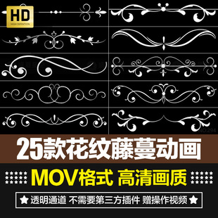 高清花纹藤曼生长动画边框分割线底纹动态AE合成特效后期视频素材