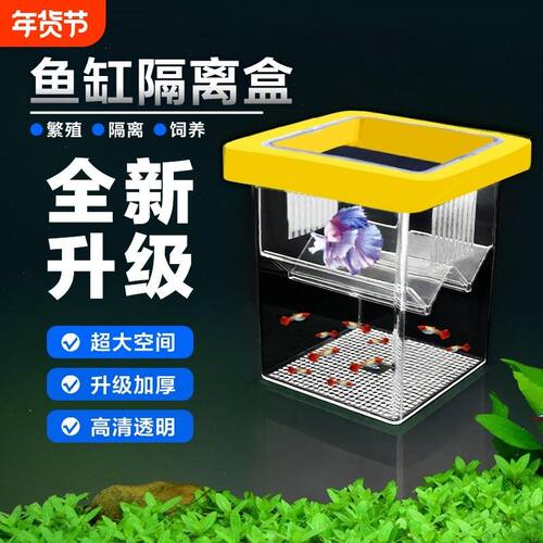 鱼缸小鱼繁殖隔离盒小型鱼苗漂浮母鱼孵化盒悬浮孔雀鱼隔离繁殖盒