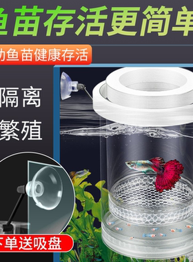 鱼缸隔离盒孔雀鱼繁殖盒凤尾玛丽母鱼产房小鱼缸内胎生鱼幼鱼孵化