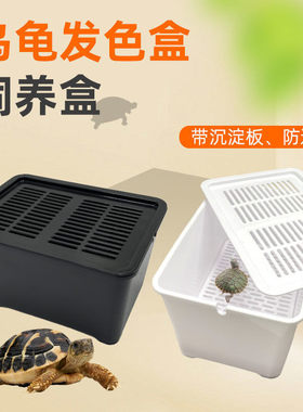 乌龟隔离盒黑白色发分隔盒鱼缸龟缸隔离盒养龟专用分离盒孵化盒