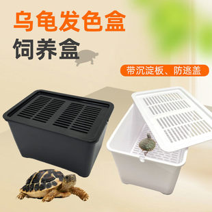 乌龟隔离盒黑白色发分隔盒鱼缸龟缸隔离盒养龟专用分离盒孵化盒