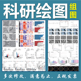 科研绘图  组图 SCI 流程图 TOC摘要 综述 画图代画