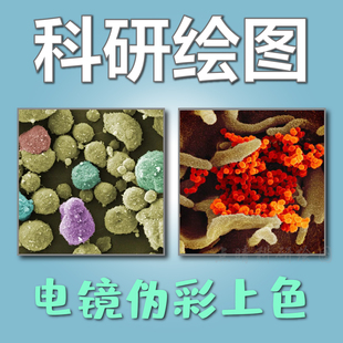 科研绘图电镜伪彩上色 3D流程图材料化学电镜标尺 摘要图画图制图