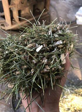松粉机锯末木屑边角料磨粉针机树竹签8细粉碎机木块竹块破碎枝机