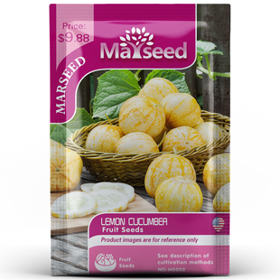 Cucumber Lemon 柠檬黄瓜种子籽孑学生观察植物 MARSEED火星家