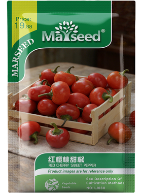圆润饱满红樱桃甜椒口感清甜风味正蔬菜庭院阳台春秋种子种苗A244