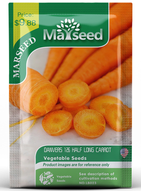 【MARSEED火星家】Danvers Half Long丹佛斯126胡萝卜种子苗