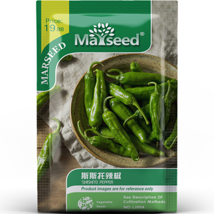 烟熏风味斯斯托辣椒种子种苗微辣小果新手阳台盆栽健康蔬菜B206