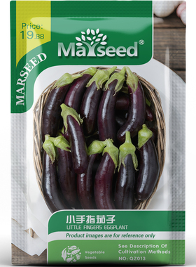 小手指茄子种子种苗纤长指形紫茄奶油白肉早熟型丰产庭院蔬菜C205