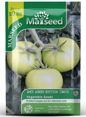 【MARSEED火星家】进口传家宝白色奇迹牛排番茄种子秧苗阳台盆栽