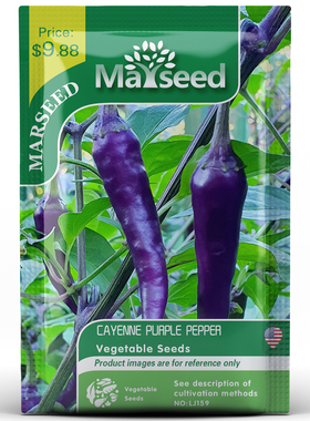 【MARSEED】进口Cayenne Purple Pepper 紫色卡宴辣椒种子籽孑苗
