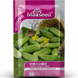 脆嫩多产小型佳选巴黎人小黄瓜蔬菜家庭园艺阳台盆栽种子种苗A228