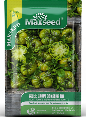 美国田纳西露比姨妈的绿牛排番茄独特形状盆栽地栽蔬菜B041