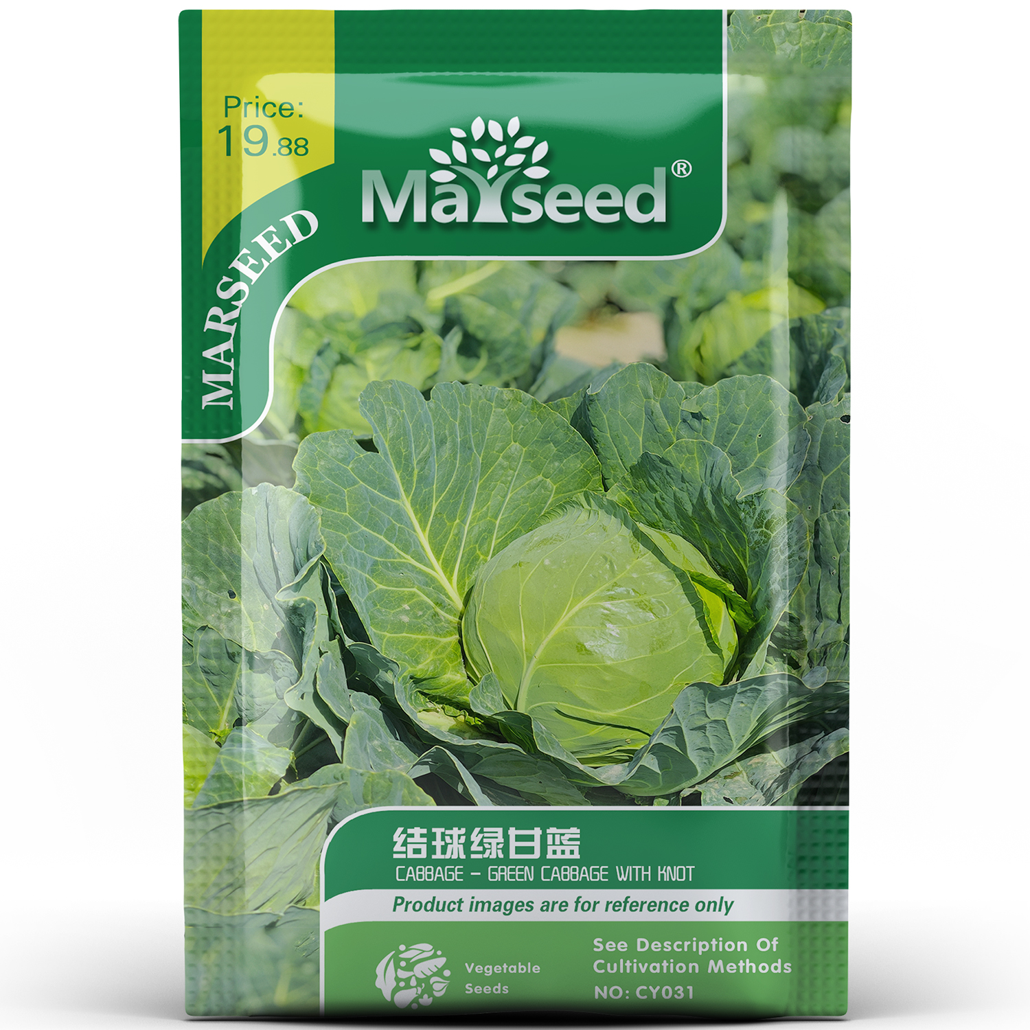 圆滚滚结球绿甘蓝中熟薄皮耐热耐寒包菜田园家庭菜园种孑子籽