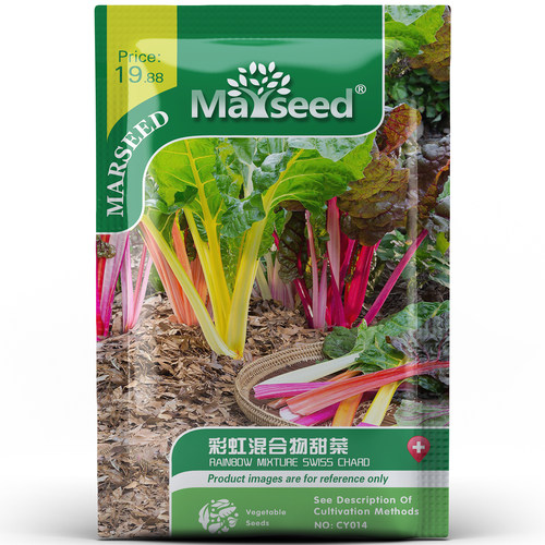 进口彩虹甜菜颜色鲜艳的菜根
