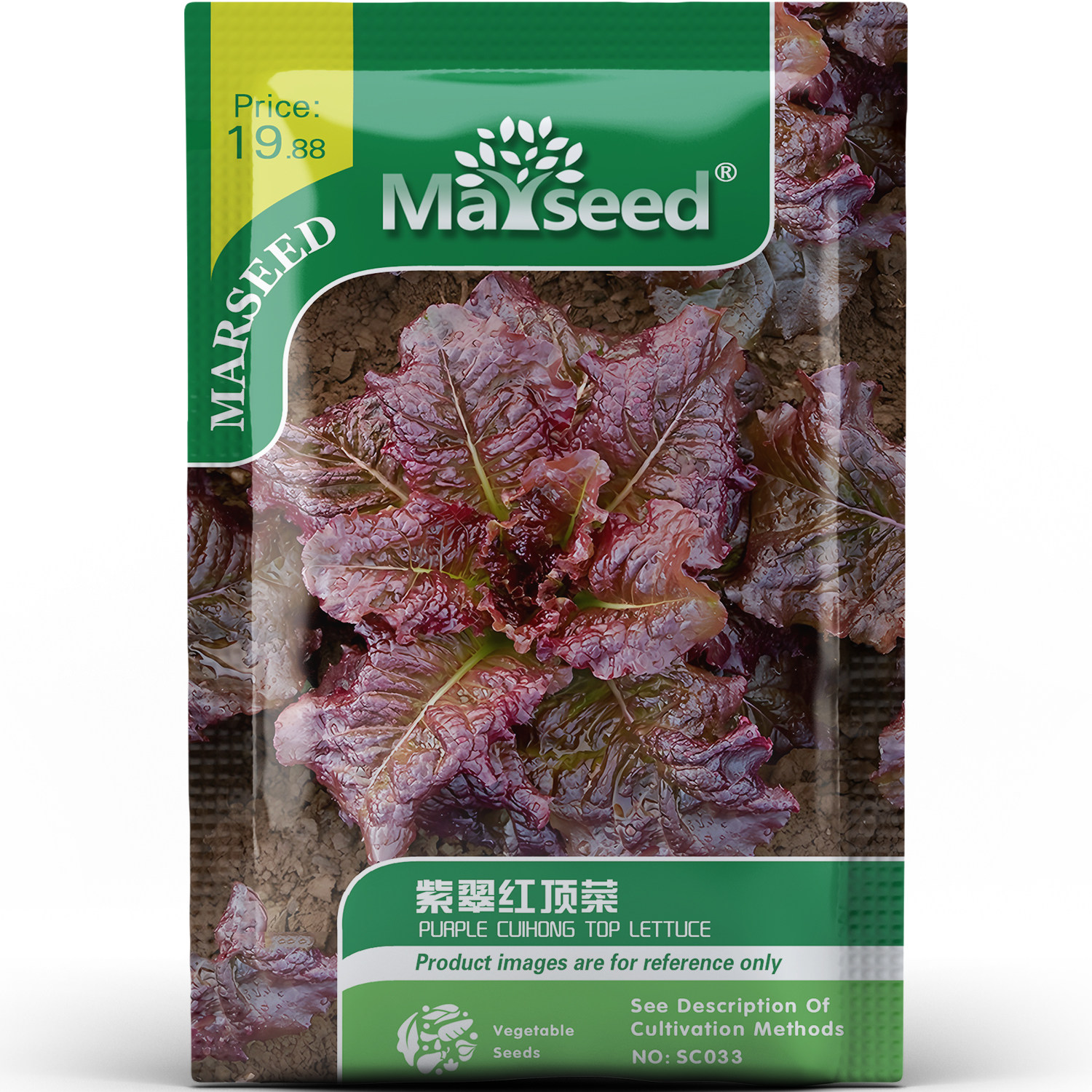 颜值高紫翠红顶生菜鲜嫩口感西餐沙拉百搭蔬菜春秋播种子种苗A182