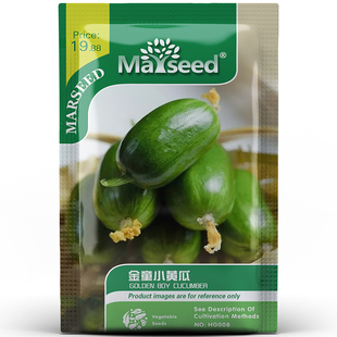 【网红品种】荷兰美味滴清甜无刺金童小黄瓜拇指玉女水果种子孑籽
