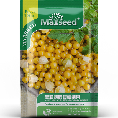 波兰热带风味莫莉姨妈樱桃浆果种子种苗高颜值盆栽蔬菜苗B034