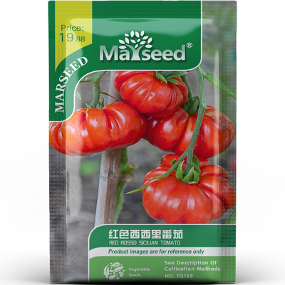 意大利特色红色西西里番茄复合风味百搭蔬菜庭院花园种子种苗A080