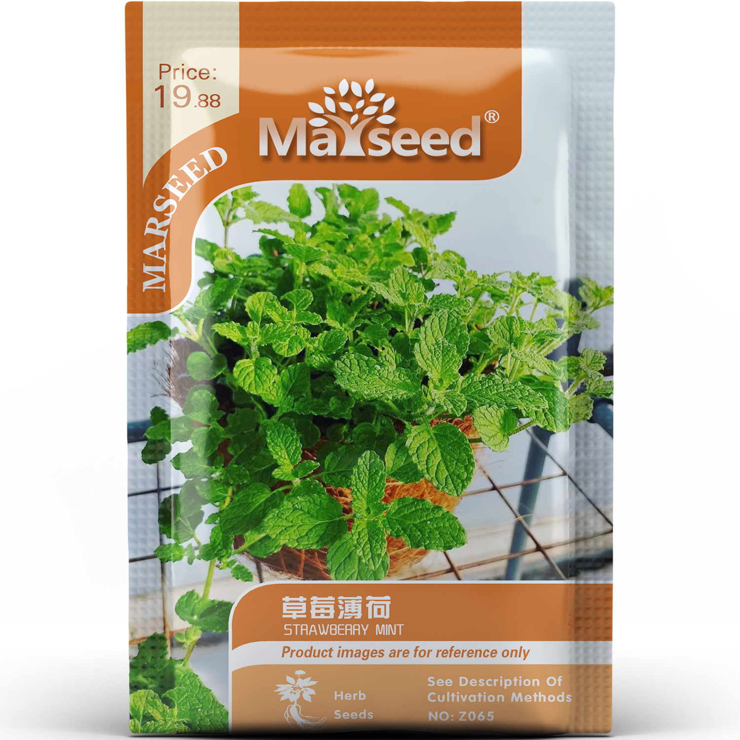 香草的甜蜜草莓薄荷种子种苗调味摆盆园艺观赏庭院阳台易种植A168