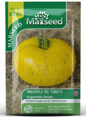 【MARSEED火星家】进口传家宝菠萝猪番茄种子秧苗阳台盆栽