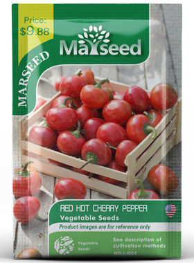 【MARSEED火星家】 Red Hot红热樱桃辣椒种子剁椒酱腌制阳台