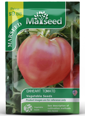 【Marseed火星家】进口传家宝红桃牛心番茄种子秧苗阳台盆栽