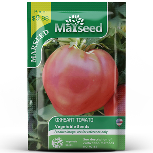 【Marseed火星家】进口传家宝红桃牛心番茄种子秧苗阳台盆栽