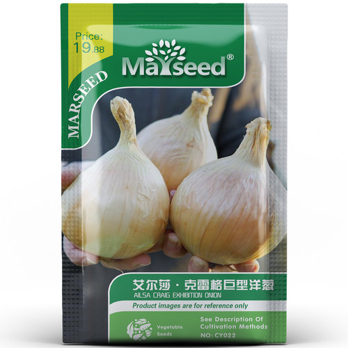 传家宝艾尔莎克雷格巨型洋葱种子