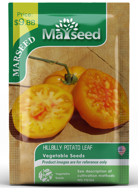 【MARSEED火星家】进口传家宝乡巴佬马铃薯番茄种子秧苗阳台盆栽