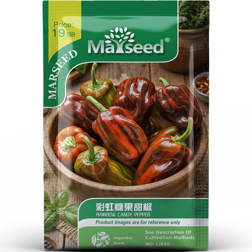 独特纹理迷你彩虹糖果甜椒种子种苗鲜食脆嫩多汁盆栽观赏健康零食
