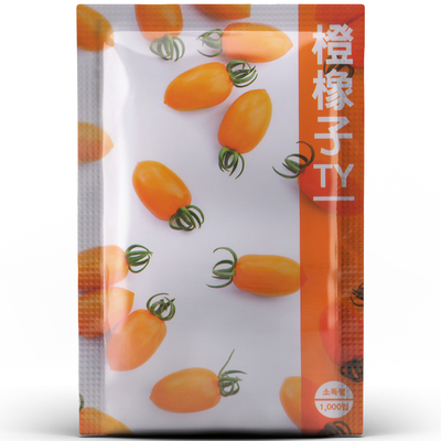 韩国进口新品橙像子樱桃番茄种子