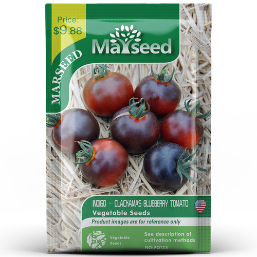 【MARSEED火星家】传家宝indigo blueberry蓝莓番茄种子苗