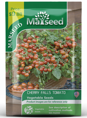 【盆栽新品】进口超高产Cherry falls矮盆栽樱桃瀑布番茄种子籽孑