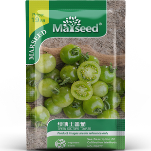 爆汁好吃美国绿博士樱桃番茄翠绿果皮可口又清甜蔬菜种子种苗A042