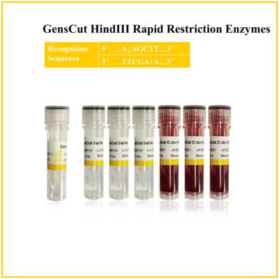 快速限制性内切酶 核酸内切酶 GensCut HindIII (GSR018)
