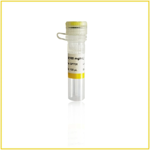 RNase μL核糖核酸酶 100 1支100